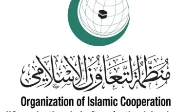 التعاون الإسلامي تُعبر عن استنكارها القوي لاستمرار الهجمات الإسرائيلية على الأراضي السورية