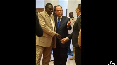 ٧٣ عاماً من التقدم – السفارة المصرية في جنوب السودان تخلد ذكرى ثورة يوليو»