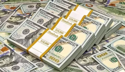 الدولار يستمر في الانخفاض مقابل الجنيه المصري خلال تداولات يوم الاثنين