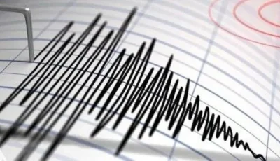زلزال بقوة 4.6 يسجل في بابوا غينيا الجديدة