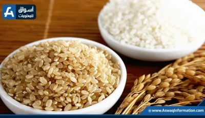سعر كيلو الأرز الشعير اليوم الأربعاء عند التجار: كم تكلفته اليوم؟
