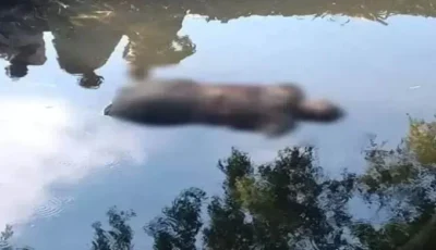 حبس والد أُلقي عليه اللوم في انتحار ابنته بسبب شكوكه في سلوكها بشبرا الخيمة