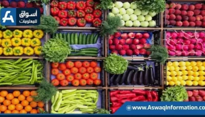 أسعار الخضروات في سوق العبور اليوم الخميس: استقرار في الأسعار