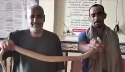 خبير ثعابين يصيد “كوبرا” من داخل مسجد بالبحيرة (صور)