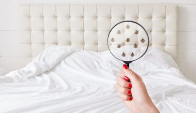لا تراه العين.. جيش من الكائنات الدقيقة يحتل سريرك ويهدد صحتك