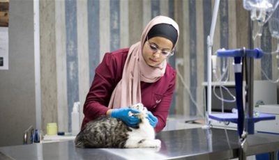 قائمة كليات الطب البيطري الخاصة في مصر 2025