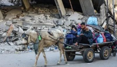 حتى الحمير سرقوها.. إسرائيل تنهب وسيلة النقل الأخيرة في غزة