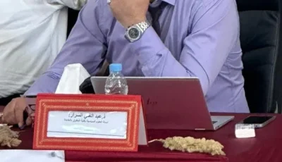 التفاعل بين الدولة، الجماعات المحلية والمجتمع المدني