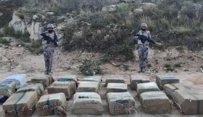 القبض على مخالفين لنظام أمن الحدود لتهريبهما 180 كيلوجرامًا من القات بجازان