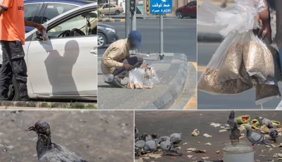 أمانة العاصمة المقدسة تحث على عدم إلقاء الخبز على الأرصفة