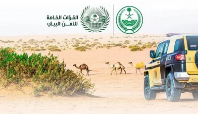 ضبط مواطن لإشعاله النار في غير الأماكن المخصصة لها بمنطقة حائل