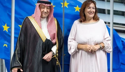 نائب وزير الخارجية يبحث تعزيز التعاون مع المفوضة الأوروبية لشؤون البحر المتوسط