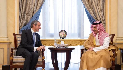 وزير الخارجية يبحث القضايا ذات الاهتمام المشترك مع مدير وكالة الطاقة الذرية