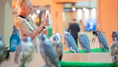 29 مليون ريال في 4 أعوام.. المزاد الدولي لمزارع الإنتاج للصقور يجمع العالم في الرياض