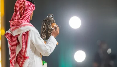 29 مليون ريال في 4 أعوام.. المزاد الدولي لمزارع الإنتاج للصقور يجمع العالم في الرياض