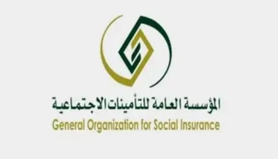 هل يحق للوريث الجمع بين نصيبه من المعاش ودخله من العمل؟.. «التأمينات الاجتماعية» توضح