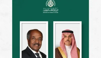 وزير الخارجية يبحث تعزيز العلاقات مع نظيره الإريتري