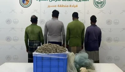 ضبط 4 مخالفين للائحة الأمن والسلامة لمزاولي الأنشطة البحرية في عسير
