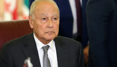 أبوالغيط: الحرب توسعت خارج غزة وعواقبها طالت الشرق الأوسط بأكمله