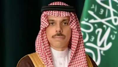 يجب توقف الكارثة في غزة عاجلا