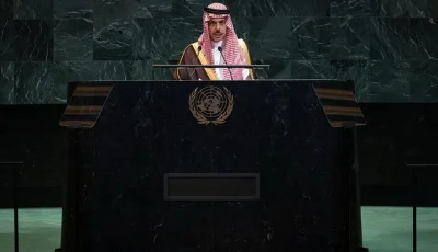 وزير الخارجية يعلن اعتماد الوثيقة الختامية لمؤتمر «حل الدولتين»