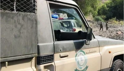 دوريات المجاهدين بجازان تحبط تهريب 146 كيلوجرامًا من القات المخدر