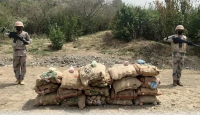 حرس الحدود بجازان يقبض على شخص لتهريبه 21 كيلوجرامًا من الحشيش المخدر