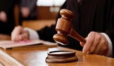 اليوم.. جلسة محاكمة 21 متهماً في قضية خلية اللجان النوعية بأكتوبر
