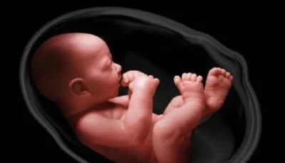 ما هو حكم استخدام الأدوية لتحديد جنس الجنين؟