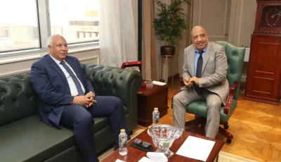 وزير الكهرباء ومحافظ الوادي الجديد يتفقان على تحسين وتأمين إمدادات الكهرباء في المحافظة