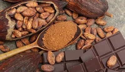 تراجع حصاد الكاكاو في غرب أفريقيا يهدد الإمدادات العالمية.. والأسعار مرشحة للارتفاع