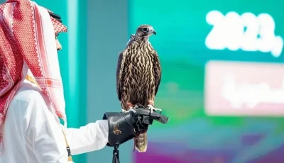 اليوم.. انطلاق المزاد الدولي لمزارع إنتاج الصقور 2025 في الرياض