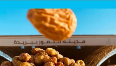 سلعة استراتيجية مهمة تسهم في دعم وتنمية اقتصاد المملكة