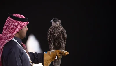 الرياض تستقبل نخبة مزارع الصقور عالميًا للمشاركة في المزاد الدولي 2025