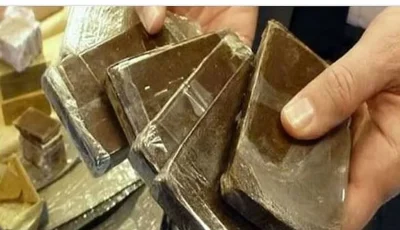 القبض على 4 مخالفين بمنطقة جازان لتهريبهم 44.4 كيلو جرام من الحشيش المخدر