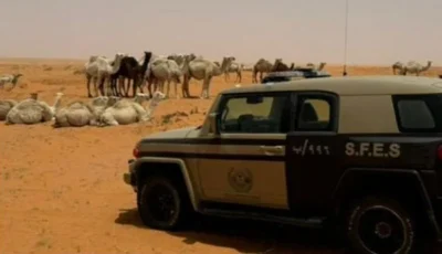 ضبط مخالف لارتكابه مخالفة الرعي في محمية الإمام تركي بن عبدالله الملكية
