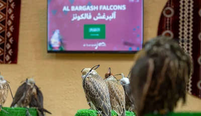 “مزرعة سعودية” تشارك بـ111 صقرًا في المزاد الدولي لمزارع إنتاج الصقور 2025