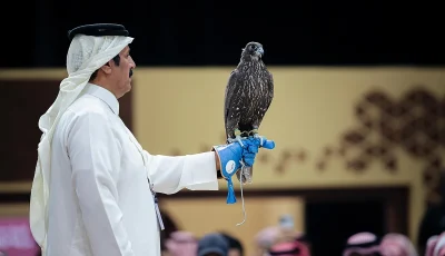 بيع صقرين بـ180 ألف ريال في الليلة الأولى لمنصة المزاد الدولي لمزارع إنتاج الصقور 2025