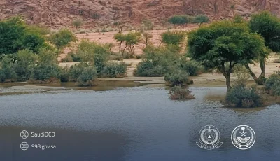 الدفاع المدني يدعو للابتعاد عن المناطق المنخفضة وتجمعات المياه وبطون الأودية