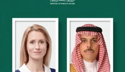 وزير الخارجية يبحث مستجدات الأوضاع في غزة مع الممثلة العليا للاتحاد الأوروبي