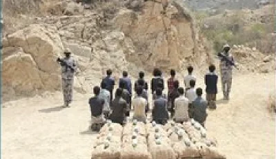 حرس الحدود بجازان يقبض على 19 مخالفًا لتهريبهم 300 كيلوجرام من القات