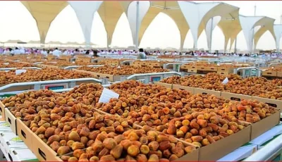 3 توصيات لازمة قبل تخزين التمور