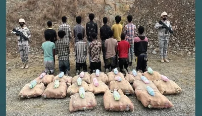 حرس الحدود بجازان يقبض على 14 مخالفًا لنظام أمن الحدود لتهريبهم 340 كيلوجرامًا من نبات القات