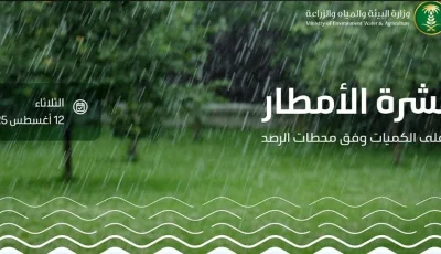 الباحة الأعلى كمية بـ 43.8 ملم.. «البيئة» ترصد هطول أمطار في 6 مناطق