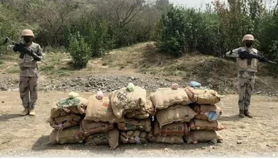 القبض على 13 مخالفا لتهريبهم 260 كيلوجراما من نبات القات بمنطقتي جازان وعسير