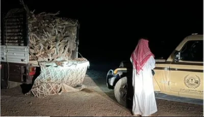القوات الخاصة للأمن البيئي تضبط مواطنًا لنقله حطبًا محليًا في المدينة المنورة