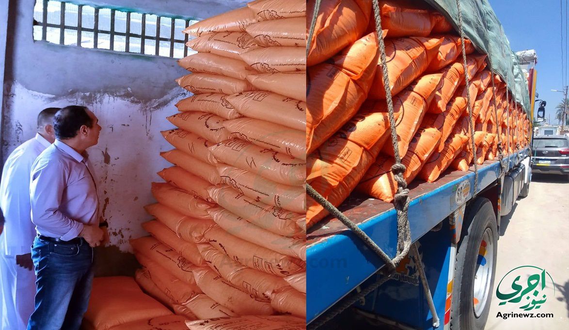 تنسيق حكومي صارم.. “الزراعة” تضمن وصول الأسمدة المدعومة (اليور…