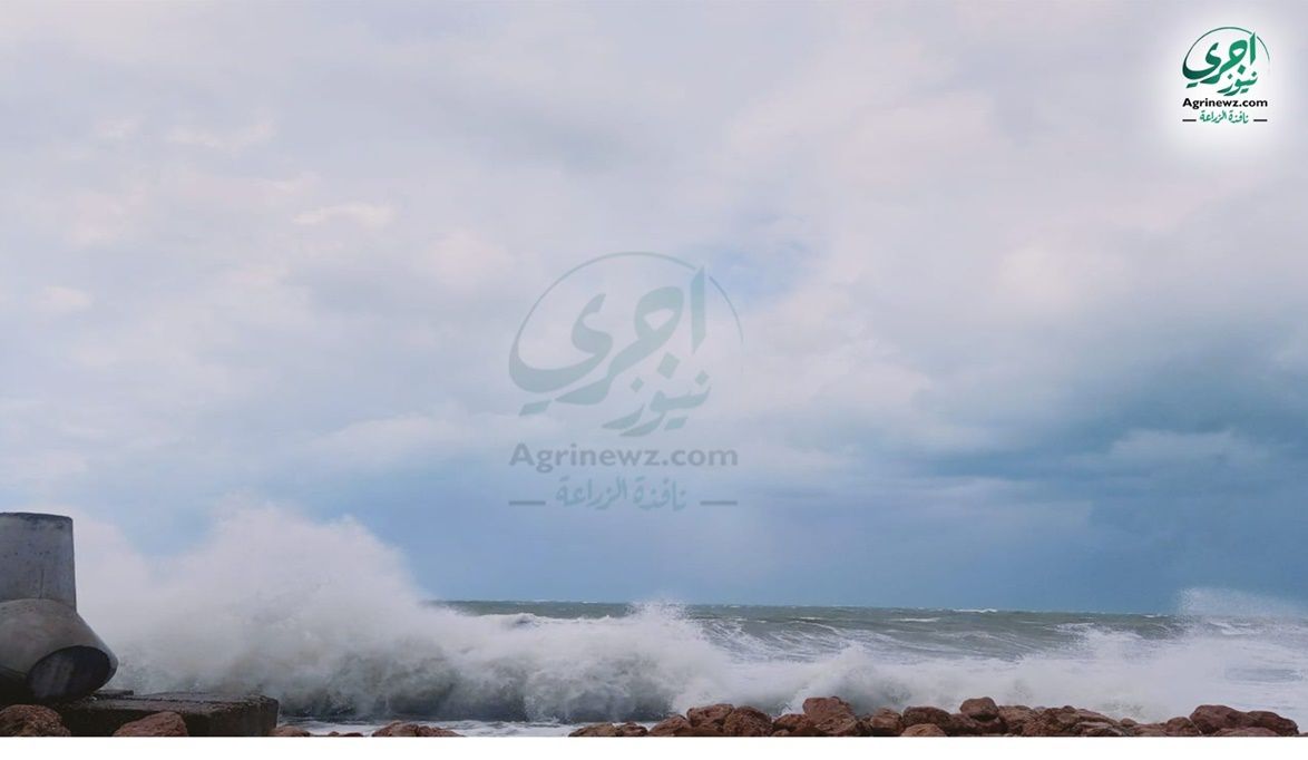 «شبورة وأمطار » الأرصاد الجوية تكشف تفاصيل حالة الطقس من الأرب…