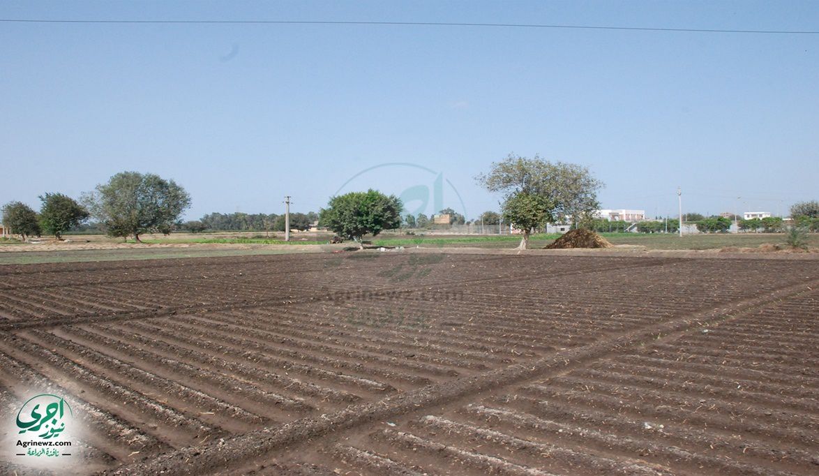 نتيجة موجات ازالة التعديات.. ٥٠ الف قطعة جاهزة للاستثمار فى بن…