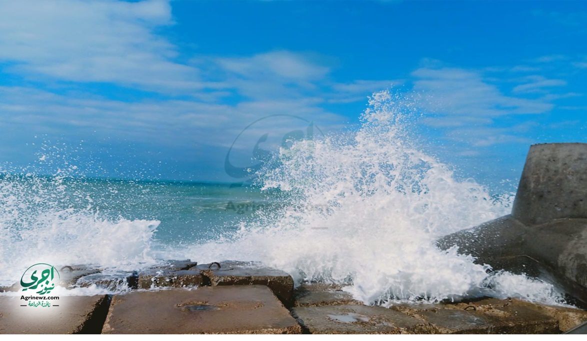 ارتفاع درجات الحرارة تدريجيًا مع منتصف الأسبوع.. العظ…